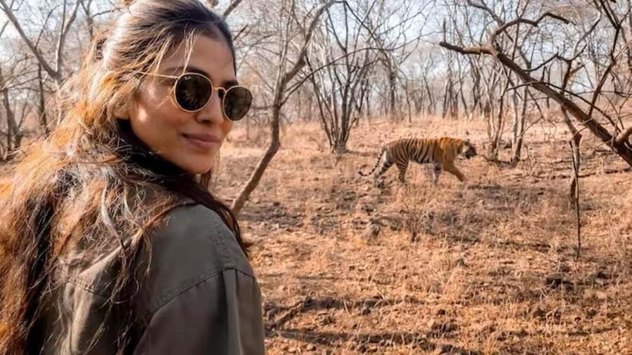 From Delhi: Sariska Wildlife Safari with Private Car - Leaving Delhi for Sariska’s Aravalli forests