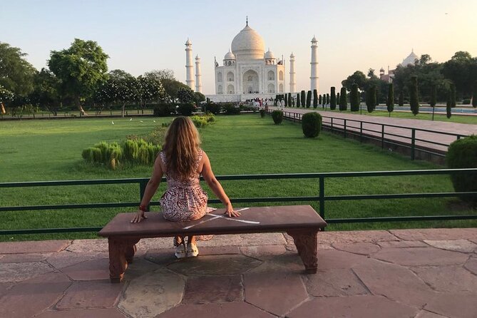 From Delhi Taj Mahal and Agra full Day Tour All Inclusive - The guide and chauffeur make the difference