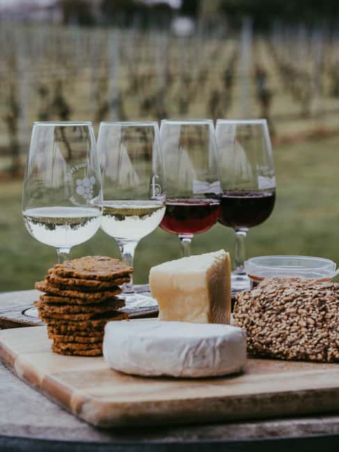 From Florence: Chianti Wine Tour with Driver-Guide - What the guide adds to the day