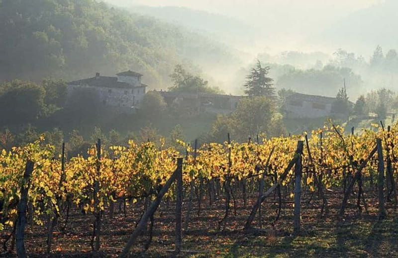 From Florence: Chianti Wine Tour with Driver-Guide - From Florence to Montefioralle by country road