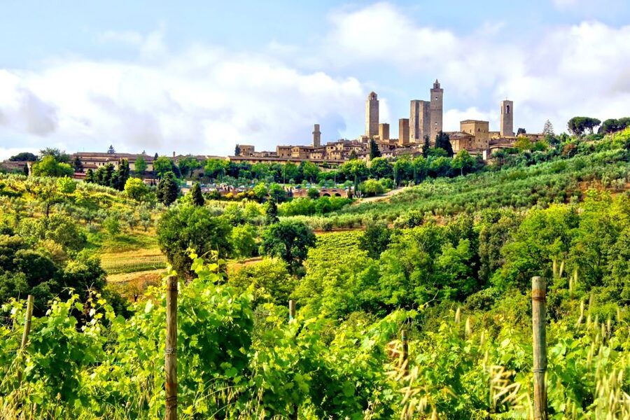 From Florence: Tuscany Day Trip with a Private Chauffeur - Siena and the drama of Piazza del Campo