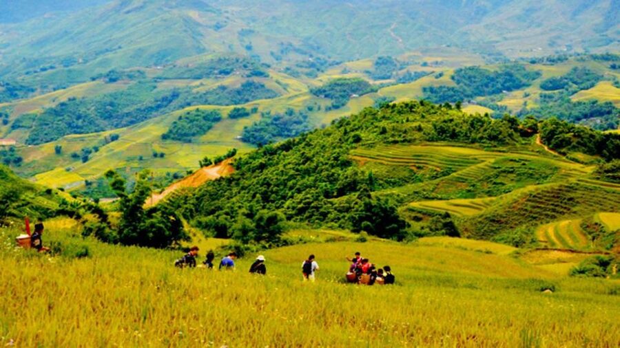 From Hanoi: 2-Day Overnight Sapa Tour by Limousine - My verdict on the $150 price