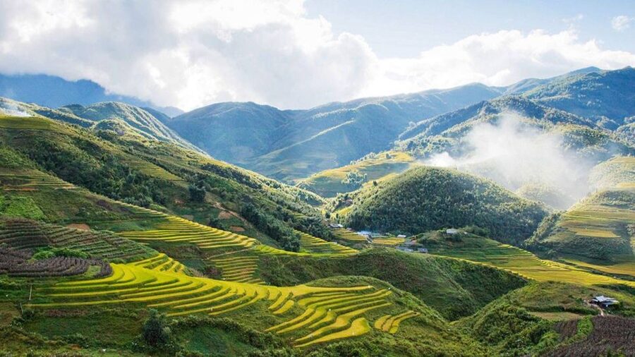 From Hanoi: 2-Day Overnight Sapa Tour by Limousine - Sin Chai village and the first afternoon