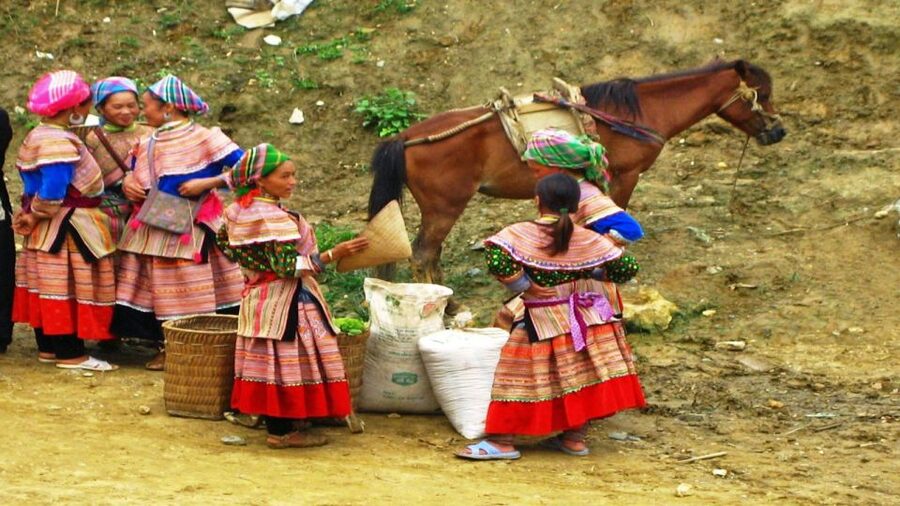 From Hanoi: 2-Day Overnight Sapa Tour by Limousine - What the guides add to the walk