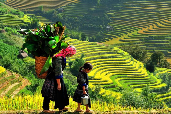 From Hanoi: 2-Day Overnight Sapa Tour by Luxury Van Limousine - Arrival in Sapa and the first village walk