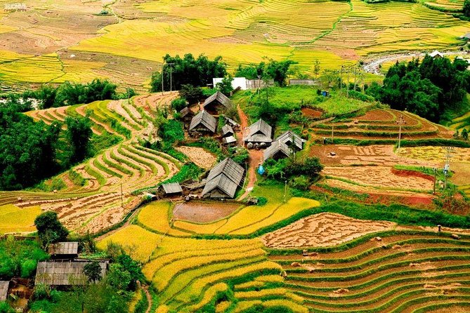 From Hanoi: 2-Day Overnight Sapa Tour by Luxury Van Limousine - Y Linh Ho, Lao Chai, and Ta Van