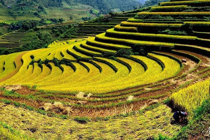 From Hanoi: 2-Day Overnight Sapa Tour by Luxury Van Limousine - Meals, cash, and village shopping
