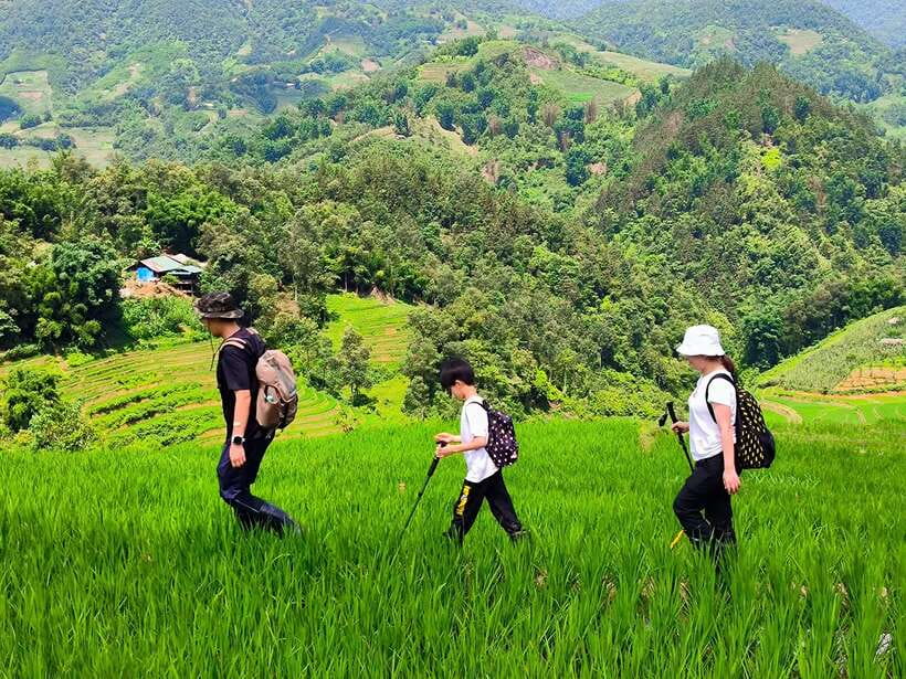 From Hanoi: 2-Day Sapa Trek Tour - Luxury Limousine Transfer - FAQ
