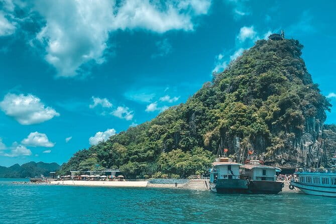 From Hanoi: Best Halong 5-Star Day Cruise, Buffet Lunch,Limousine - Ti Top Island for swimming and the bay view