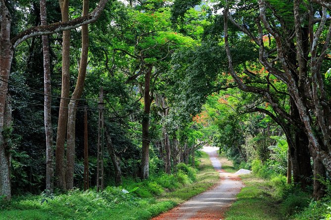 From Hanoi: Cuc Phuong National Park Day Trip by Private Car - Key points to know before booking