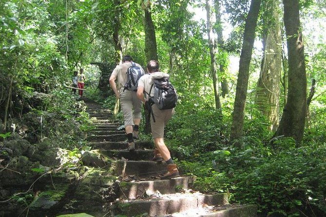 From Hanoi: Cuc Phuong National Park Day Trip by Private Car - Private transport takes the strain out of the journey