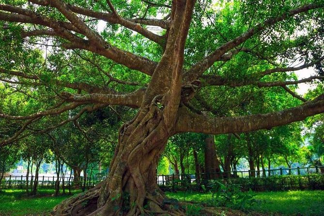 From Hanoi: Cuc Phuong National Park Day Trip by Private Car - What the $135.14 price really covers