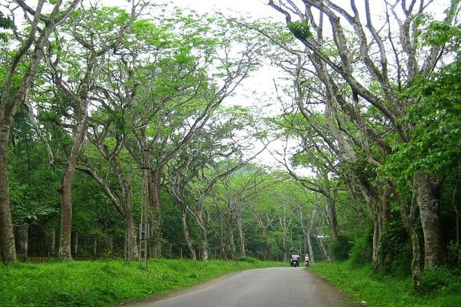 From Hanoi: Cuc Phuong National Park Day Trip by Private Car - Small details that make the day easier
