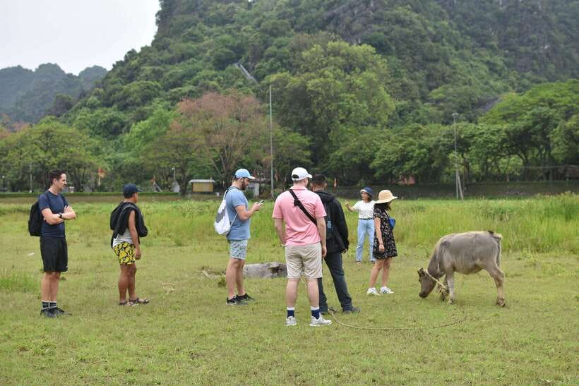 From Hanoi: Ninh Binh, Hoa Lu, Tam Coc, & Mua Cave Day-Trip - A free bicycle ride through rural Ninh Binh
