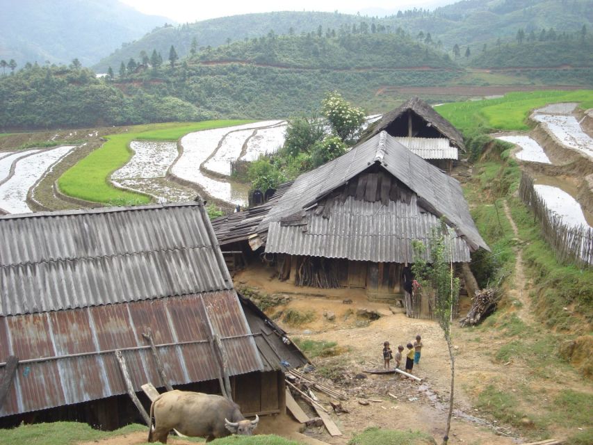 From Hanoi: Sapa 3-Day Medium Trek and Limousine Trip - Transport and organization: useful, but not flawless