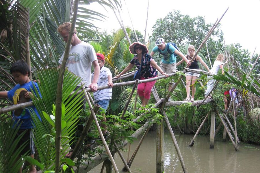 From Ho Chi Minh City: Mekong Delta VIP Tour by Limousine - Lunch brings useful value at $49