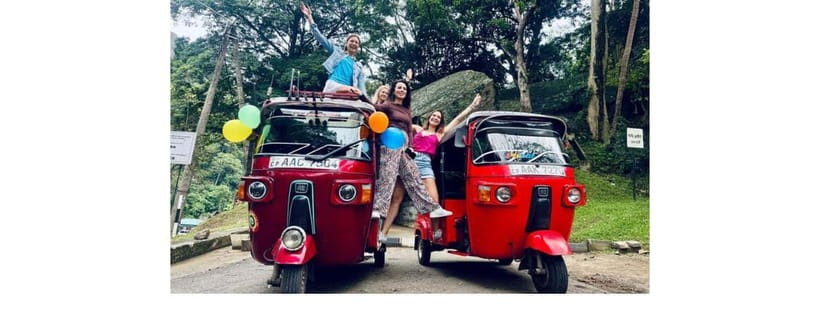 From Kandy: Dambulla to Sigiriya Day Tours by Luxury Car - The village safari: culture at ground level