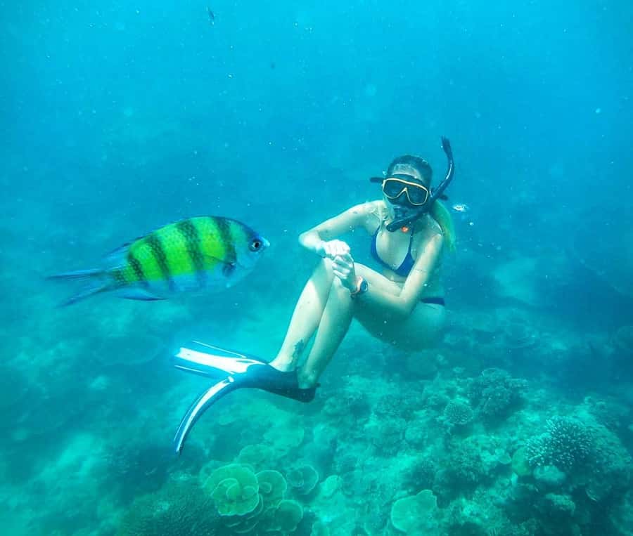 From Koh Tao: Sightseeing Tour with Snorkel by Private Car - Freedom Beach and Taa Toh: an easy start by the water