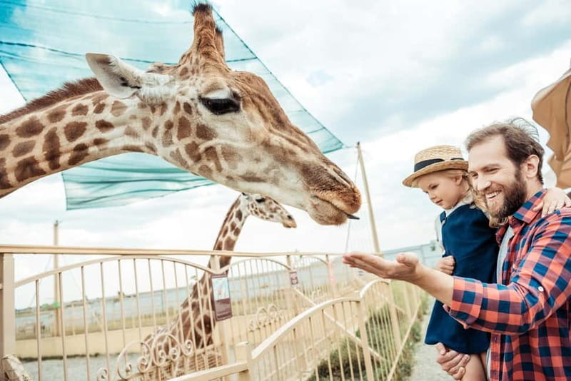 From Krakow: Zoo Trip with Private Luxury Transfer - Wolski Forest gives the zoo a pleasant setting