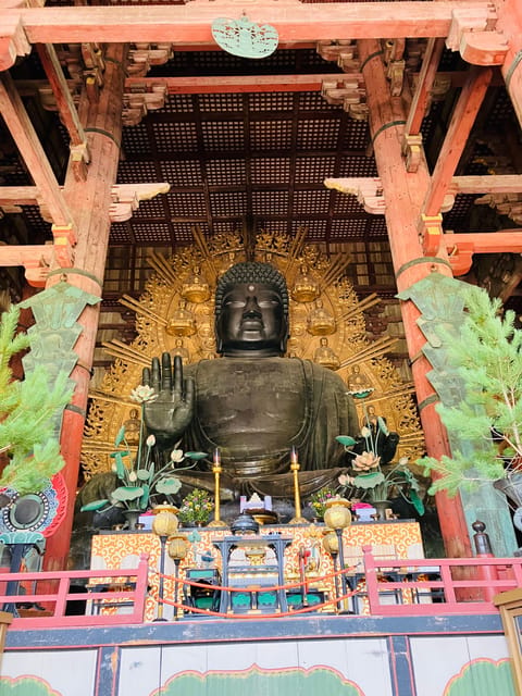 From Kyoto: Nara Private Tour with Hotel Pickup - Time for food, local streets, and extra stops