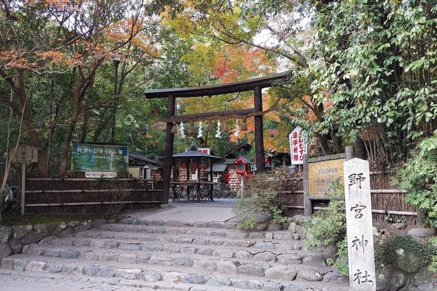 From Kyoto/Osaka/Nara: Private Osaka Luxury Car Tour - Where the aquarium fits