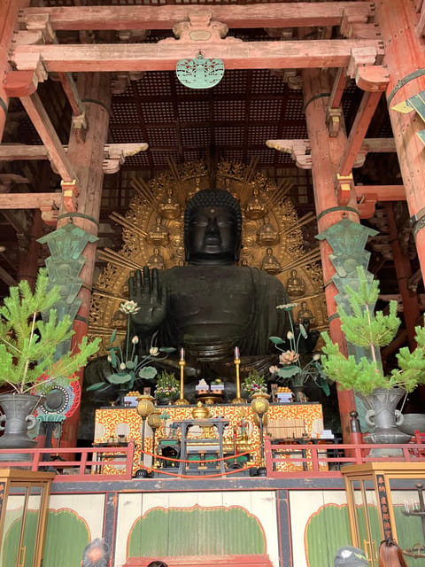 From Osaka: Nara Private Tour with Hotel Pickup - Key points at a glance