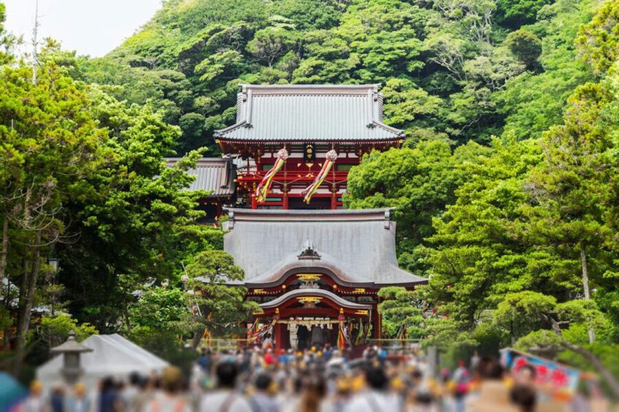 From Tokyo: Kamakura Private Customize Tour by Luxury Van - A realistic nine-hour plan