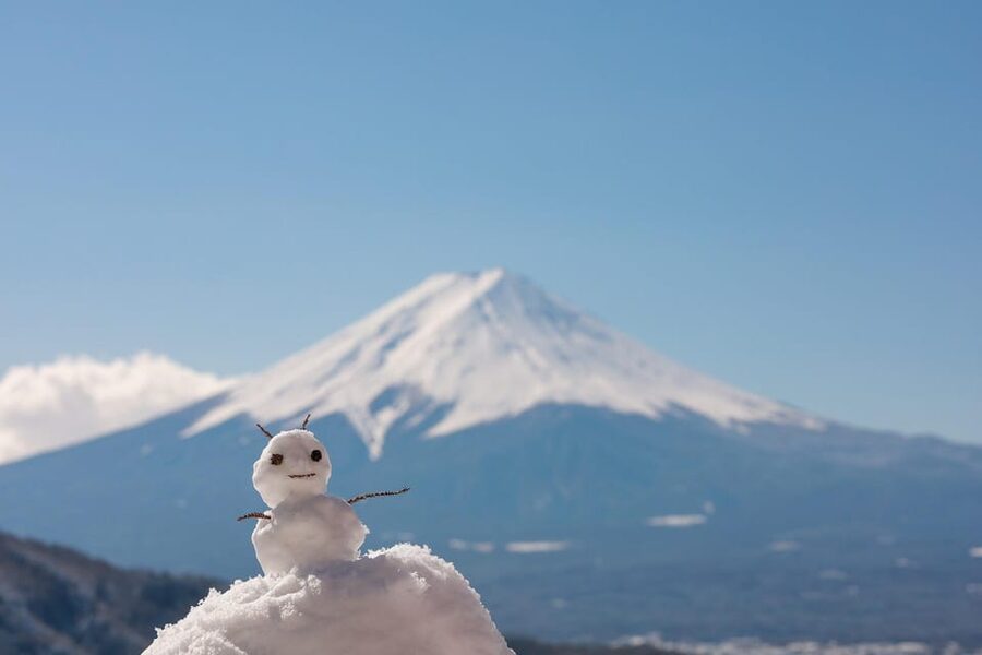From Tokyo: Mount Fuji Customizable Private Day Tour - Key points to know before booking