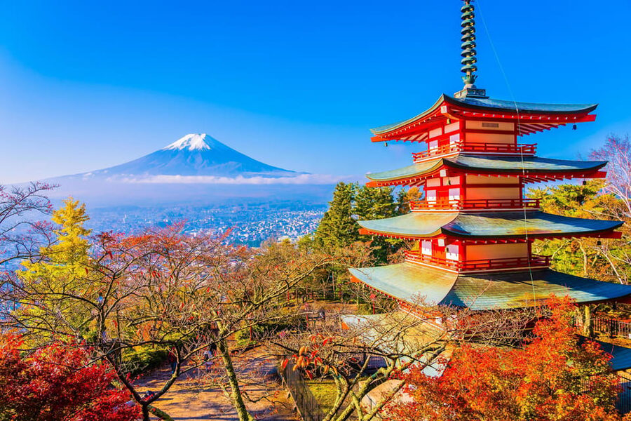 From Tokyo: Mount Fuji Customizable Private Day Tour - Why a private Mount Fuji day trip makes sense