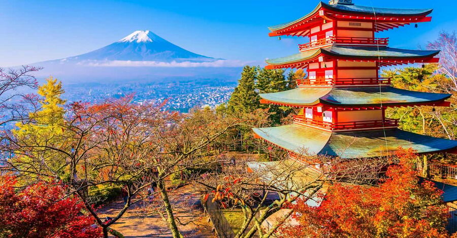 From Tokyo: Mount Fuji Customizable Private Day Tour - The 5th Station and mountain weather
