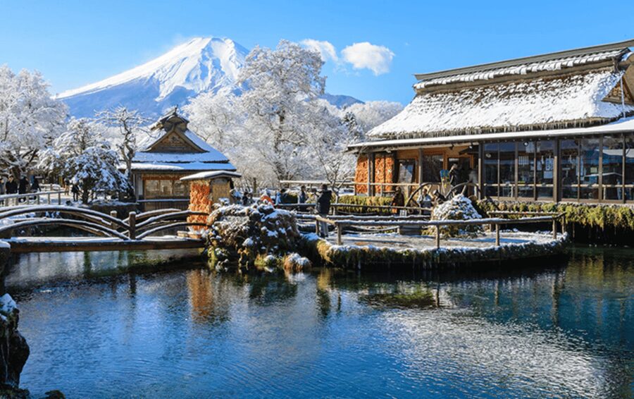 From Tokyo: Mount Fuji Customizable Private Day Tour - What is included, and what will cost extra