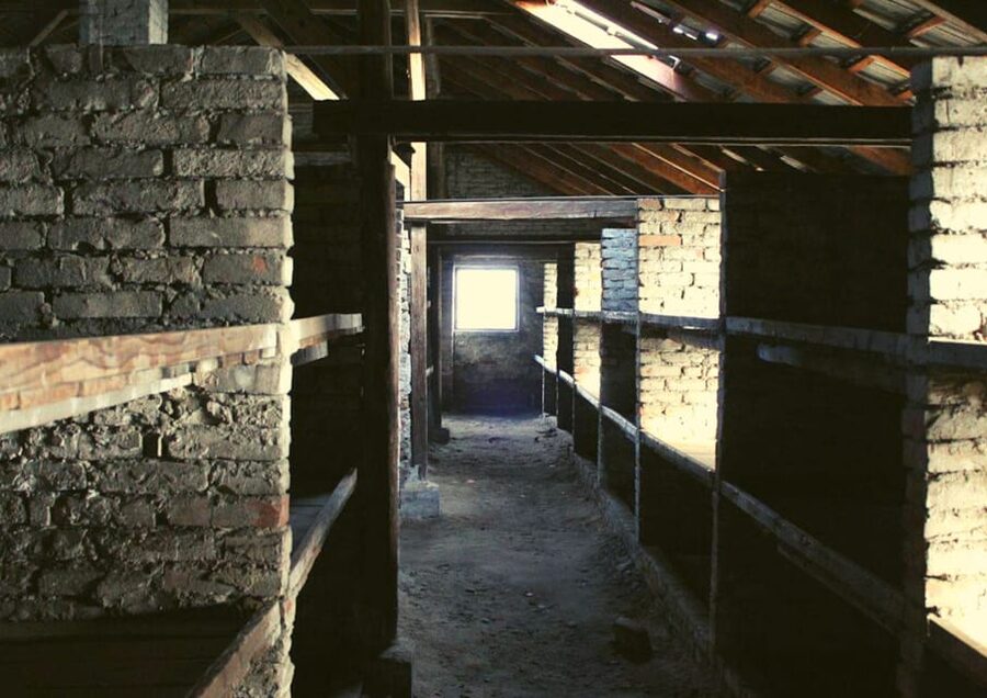 From Warsaw: Auschwitz Day Tour by Private Car with Lunch - Birkenau, railway ramps, and the scale of the site