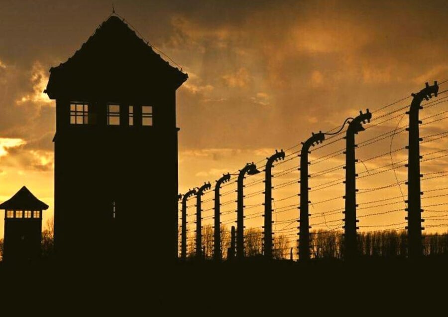 From Warsaw: Auschwitz Day Tour by Private Car with Lunch - Is $422 per person good value?