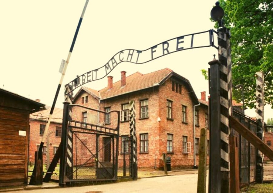 From Warsaw: Auschwitz Day Tour by Private Car with Lunch - Timing, group size, and the emotional workload
