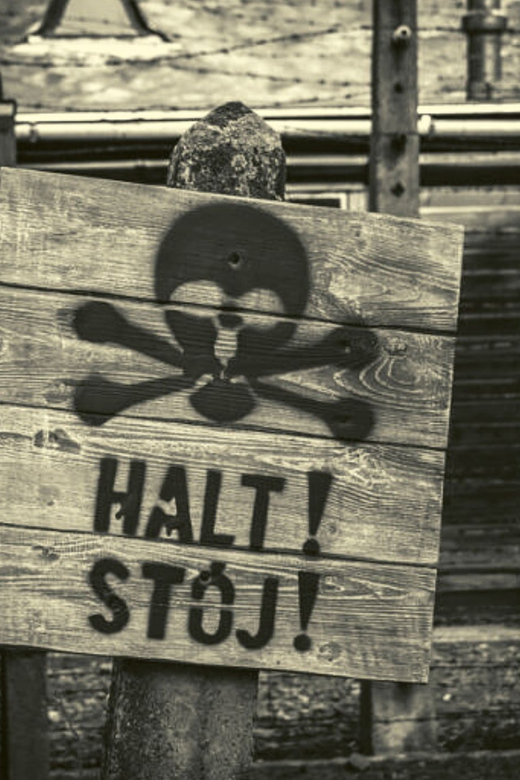 From Warsaw: Auschwitz Day Tour by Private Car with Lunch - Who should choose this tour?