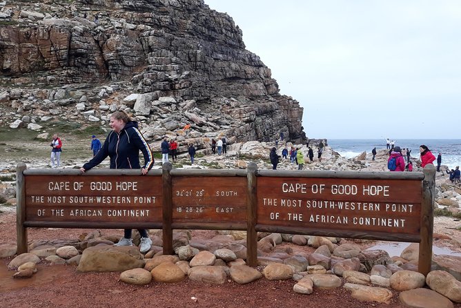 Full Day Cape Peninsula Tour in Private Car - Boulders Beach brings you close to African penguins