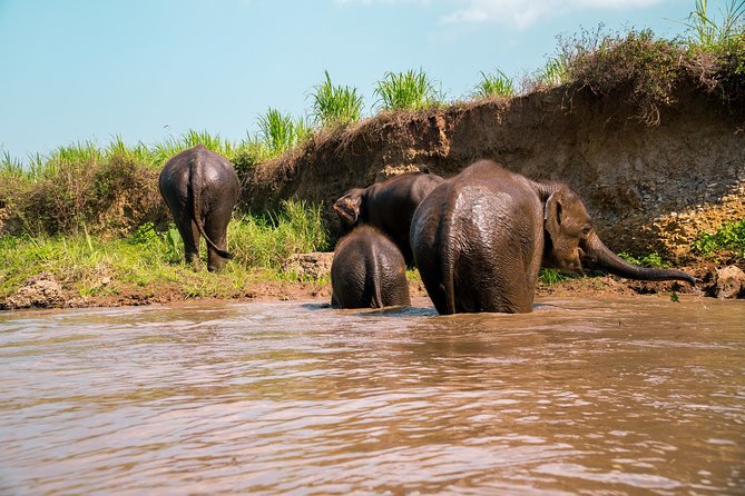 Full Day Chauffeur Driven Tuk Tuk Adventure in Chiang Mai including rafting - Mae Wang’s farms and small communities
