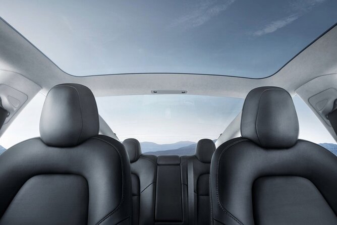 Full Day Customisable Tour with Driver & Luxury Car Unlimited Kms - A private Auckland day with room to change plans