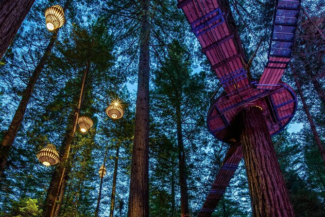 Full Day Customisable Tour with Driver & Luxury Car Unlimited Kms - Forest, water, and adventure around Rotorua