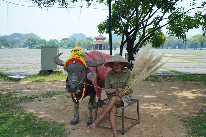 Full Day Hoa Lu/Tam Coc/ Mua Cave Tour by Limousine Bus - Hoa Lu and the temples of two royal dynasties