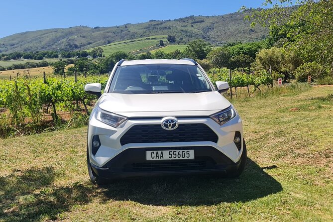 Full Day In Private Car Chauffeur Drive Service in Cape Town - The Cape Peninsula, from Simon’s Town to Cape Point