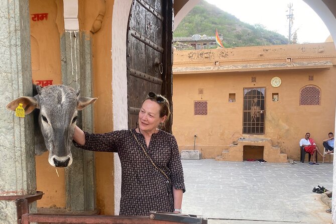 Full-Day Jaipur Sightseeing Private Tour - All Inclusive - Amer and Amber Fort: the day’s main event