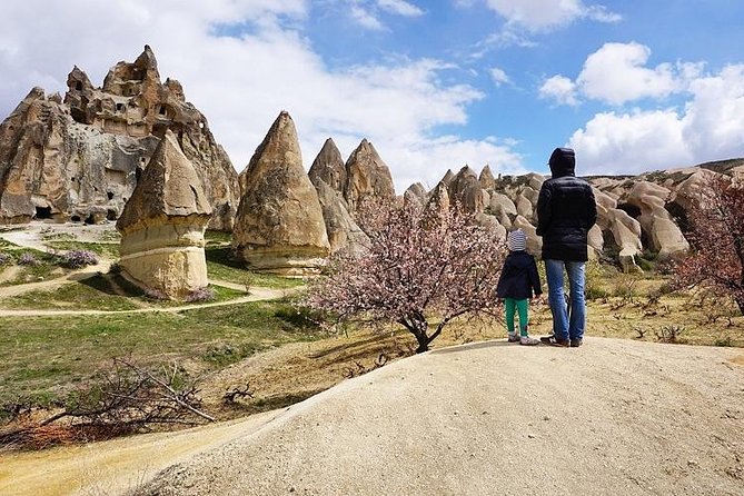 Full Day Private Cappadocia Tour (Luxury Van + Private Guide ) - Pasabag and the famous fairy chimneys