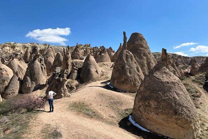 Full Day Private Cappadocia Tour (Luxury Van + Private Guide ) - Devrent Valley and Love Valley