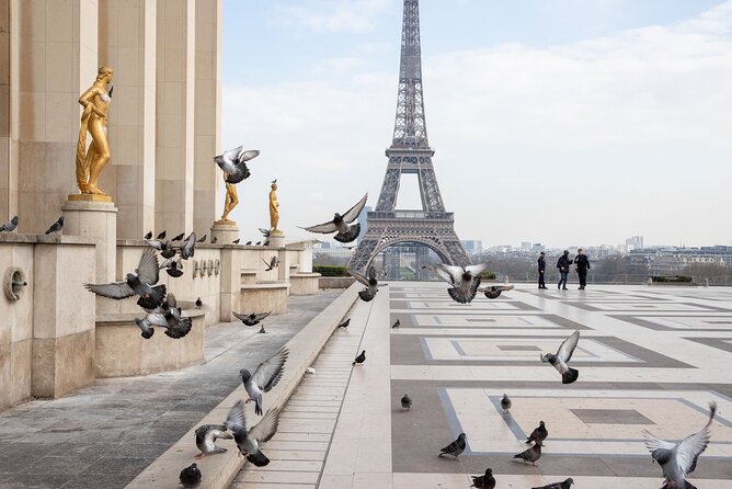 Full-Day Private Tour in Paris with Driver Sightseeing tour - A fast first look at Paris