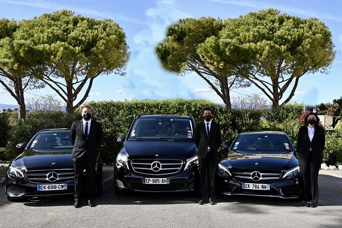 Full-Day Private Tour in Paris with Driver Sightseeing tour - Eiffel Tower and Champ de Mars