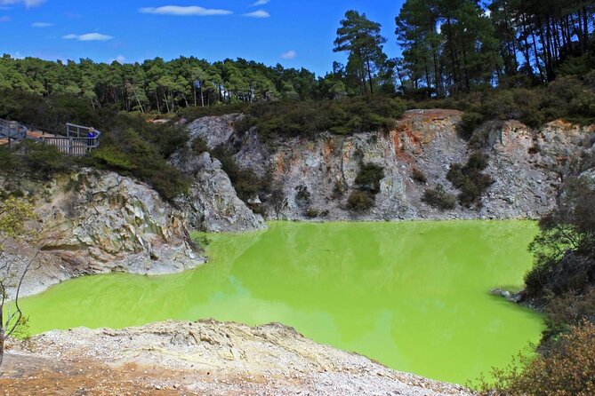 FULL DAY ROTORUA TOUR - Fully Customisable 13 hours Unlimited KMS - Redwoods, Skyline, and Rotorua’s lighter side