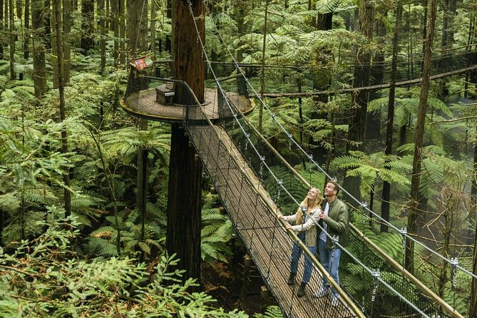 FULL DAY ROTORUA TOUR - Fully Customisable 13 hours Unlimited KMS - Hobbiton and Blue Spring: two very different first stops