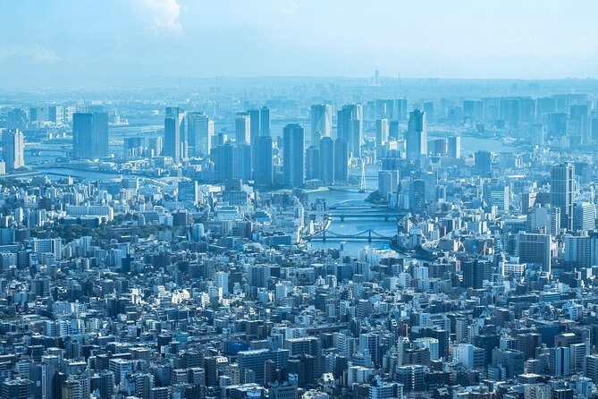 Full Day Tokyo Private Tour by Luxury Vehicle - The Imperial Palace is a short scenic pause
