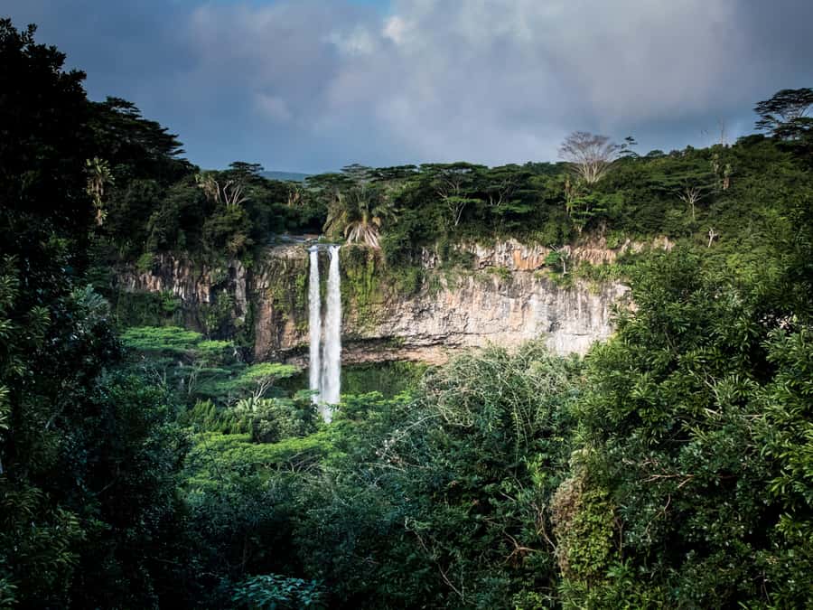 Full day tour personal chauffeur - What the day can look like at gardens, markets, and scenic stops